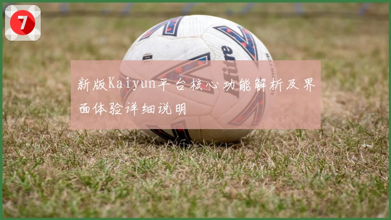 新版Kaiyun平台核心功能解析及界面体验详细说明